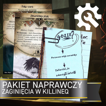 Pakiet Naprawczy Zaginięcia w Killineq