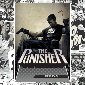 HERO Defenders: Punisher